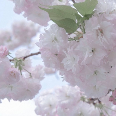 Furry插画色彩解析兽圈社群